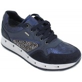 Chaussures Igi co 8764