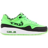 Chaussures Nike Air Max 1 FB 705393-300