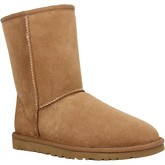 Bottes neige UGG Classic Short velours Femme Chestnut