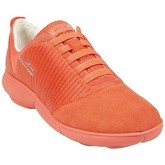 Chaussures Geox Basket D Nebula G Orange