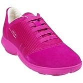 Chaussures Geox Basket D Nebula G Cyclamen