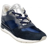 Chaussures Geox Basket D Shahira B Navy