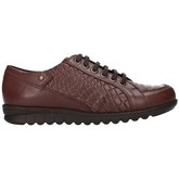 Chaussures Pitillos 2823 Mujer Marron