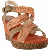 Sandales Odgi-Trends 733510-B7200