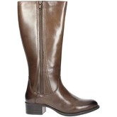 Bottes Pregunta PIA5349 002