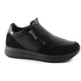 Chaussures Igi co IGI-67441-NE