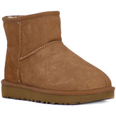 Bottes neige UGG CLASSIC MINI II CHESTNUT