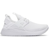 Chaussures DC Shoes Chaussures SHOES MERIDIAN white