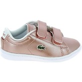 Chaussures Lacoste Carnaby Evo BB Rose Blanc