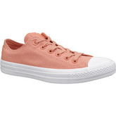 Chaussures Converse C. Taylor All Star 163307C