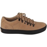 Chaussures Timberland Basket ADV 2.0 CUPSOLE ALPINE OX Camel