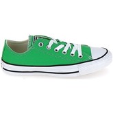 Chaussures Converse All Star B Kiwi