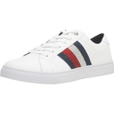 Chaussures Tommy Hilfiger FW0FW04299