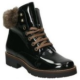 Bottines Pitillos 5794