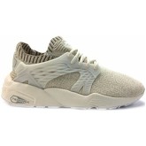 Chaussures Puma Blaze Cage evoKnit Wn's