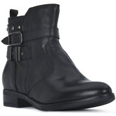 Bottines Nero Giardini NERO GIARDINI SAGAR DECO