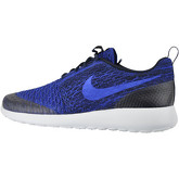 Chaussures Nike WMNS ROSHE ONE FLYKNIT 704927-403