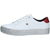 Chaussures Tommy Hilfiger FW0FW04286