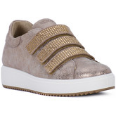 Chaussures Igi co METAL TAUPE