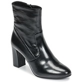 Bottines Steve Madden AVENUE