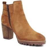 Bottines Lince 82555